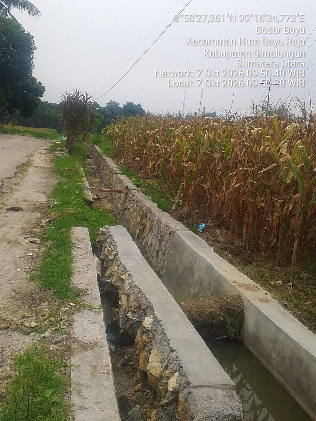 Realisasikan Dana Desa TA 2026, Pemnag Bosar Bayu Bangun Drainase di Huta I Sigaol